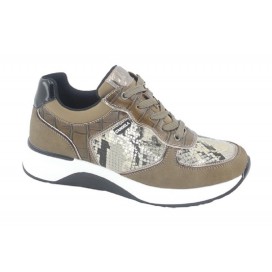 D'ANGELA DBD20166 Sneakers Taupe